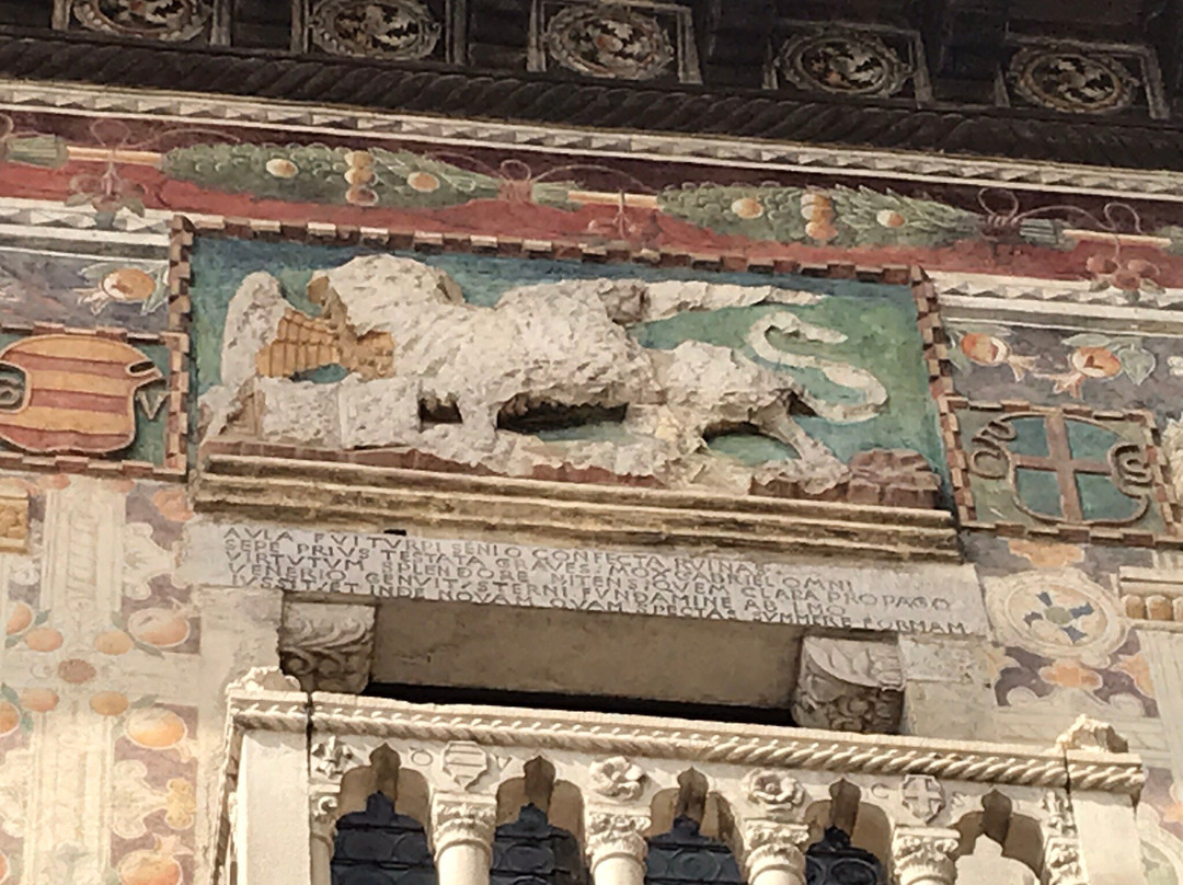 Museo del Cenedese景点图片