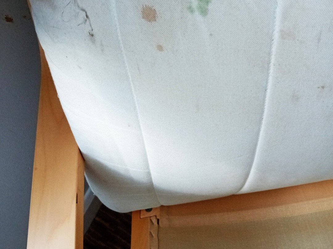 The Willow House主图