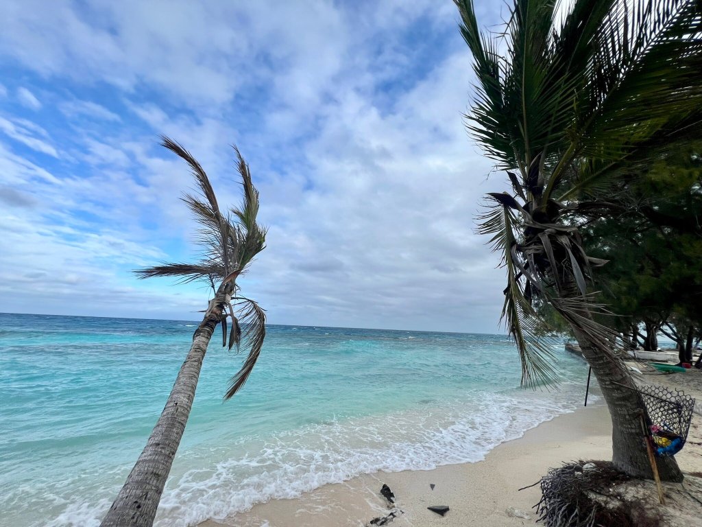 Chez Henriette-官方