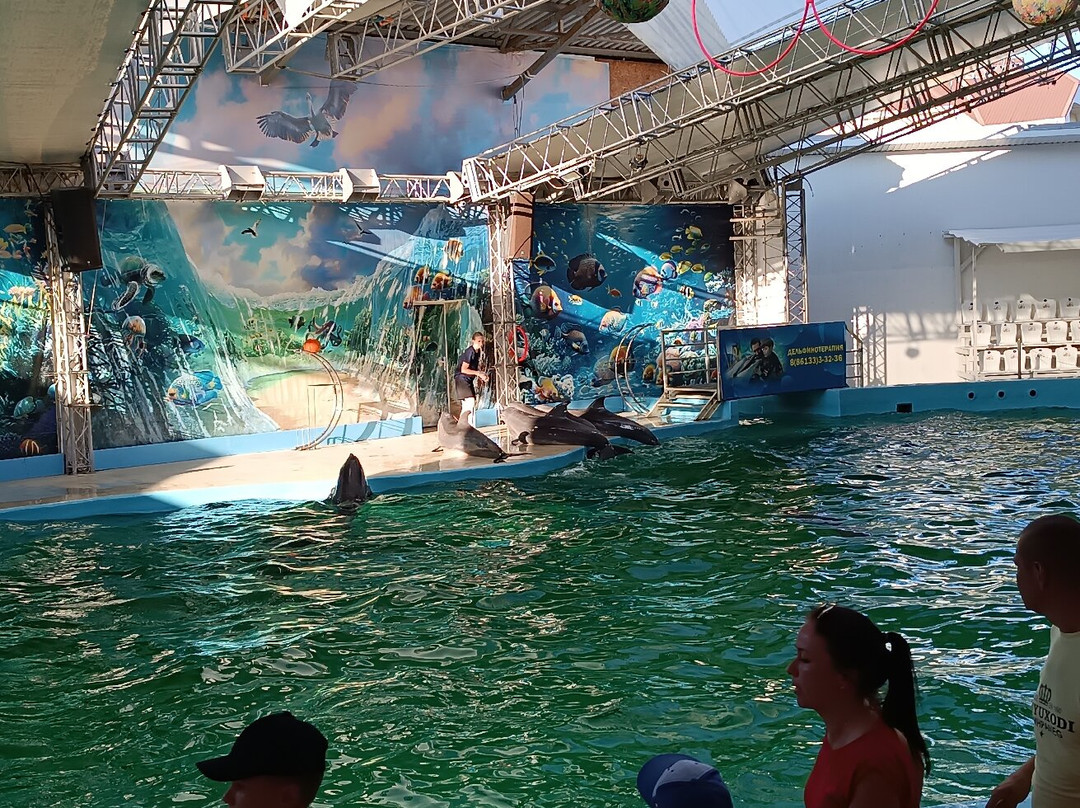 Anapa Dolphinarium (Nemo)景点图片