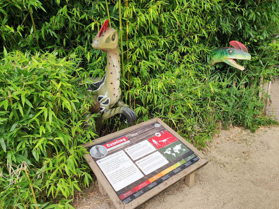 Dinoland Zwolle-兹沃勒必去景点