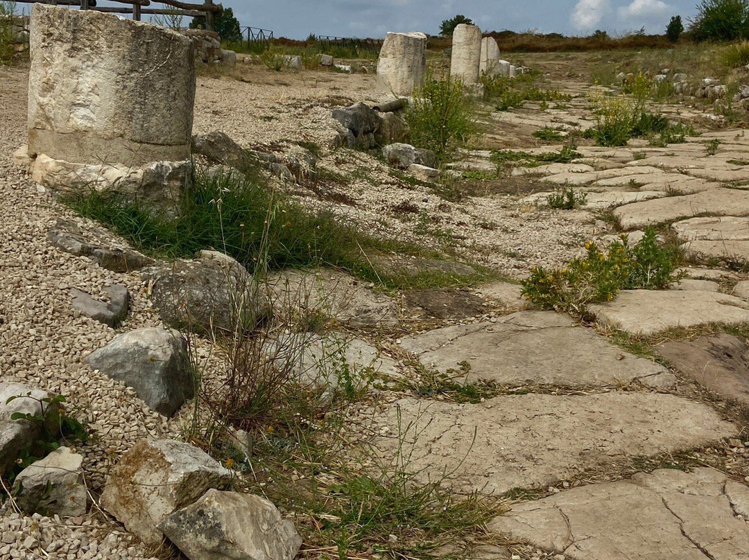Parco Archeologico dell'Antica Città di Norba-Norma必去景点