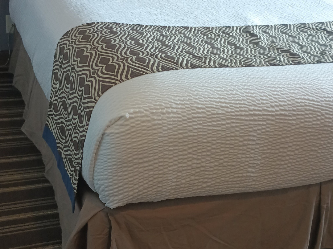 Microtel Inn & Suites by Wyndham Zephyrhills主图