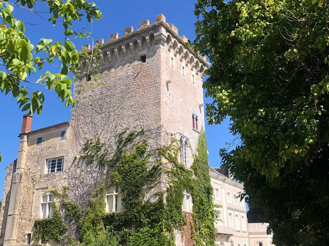 Chateau Hordosse主图