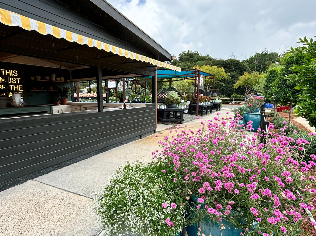 Dothan Nurseries Greenhouse, Gardens, and Gifts-多森必去景点