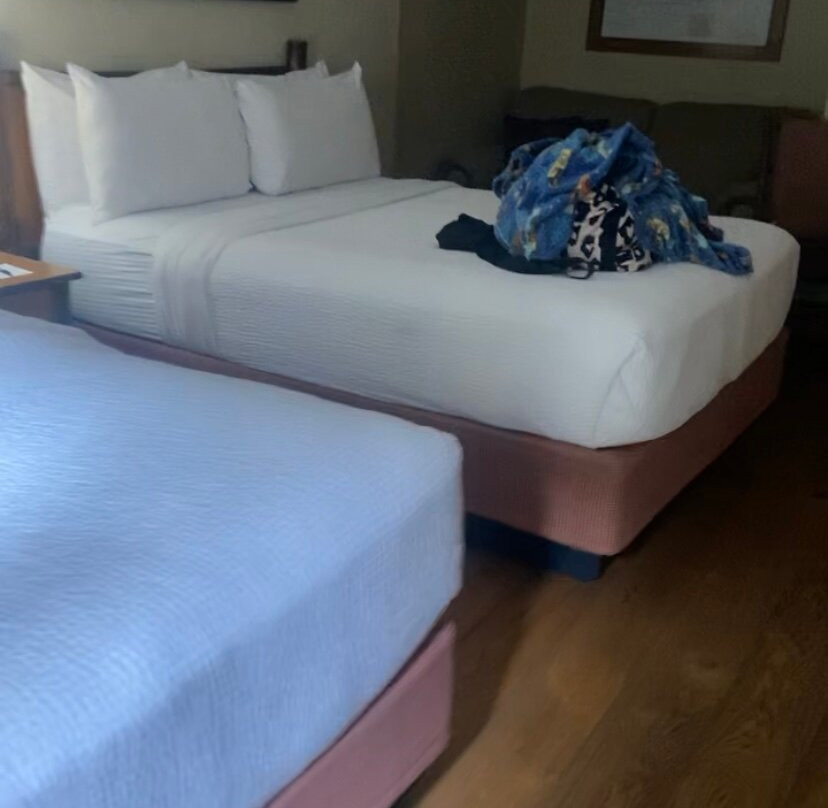 Bearskin Lodge on the River Hotel主图