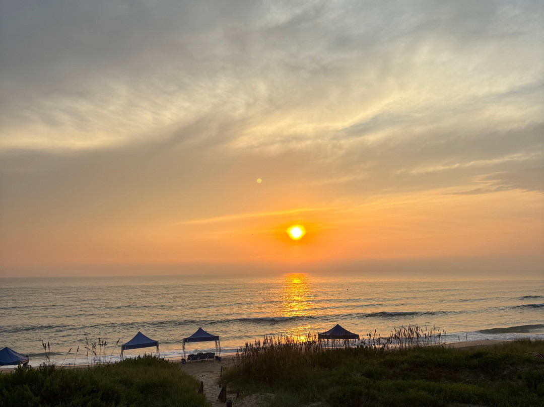 Farmdog Beach Services-纳格斯海德必去景点