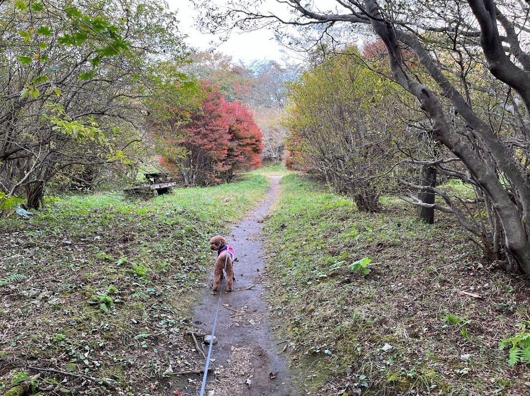 Nasu Nature Study Paths-那须町必去景点