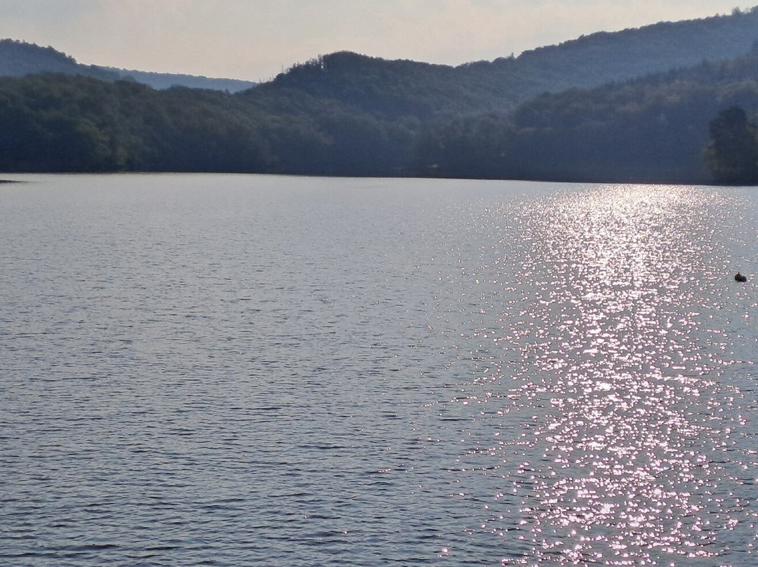 Garni Hotel Henn主图