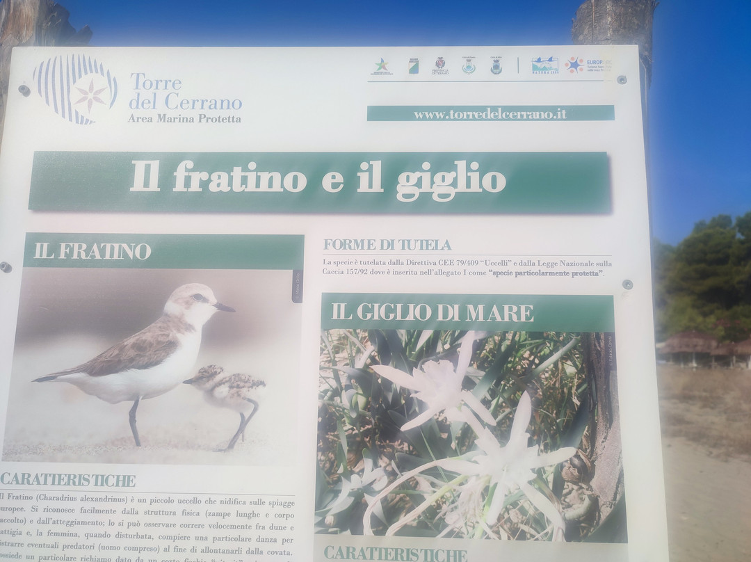 Lido Itaca-Torre di Cerrano必去景点
