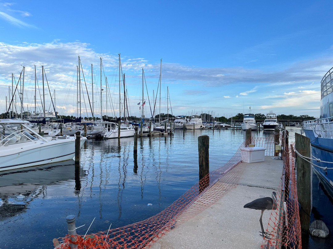 St. Pete Pier-圣彼德斯堡必去景点