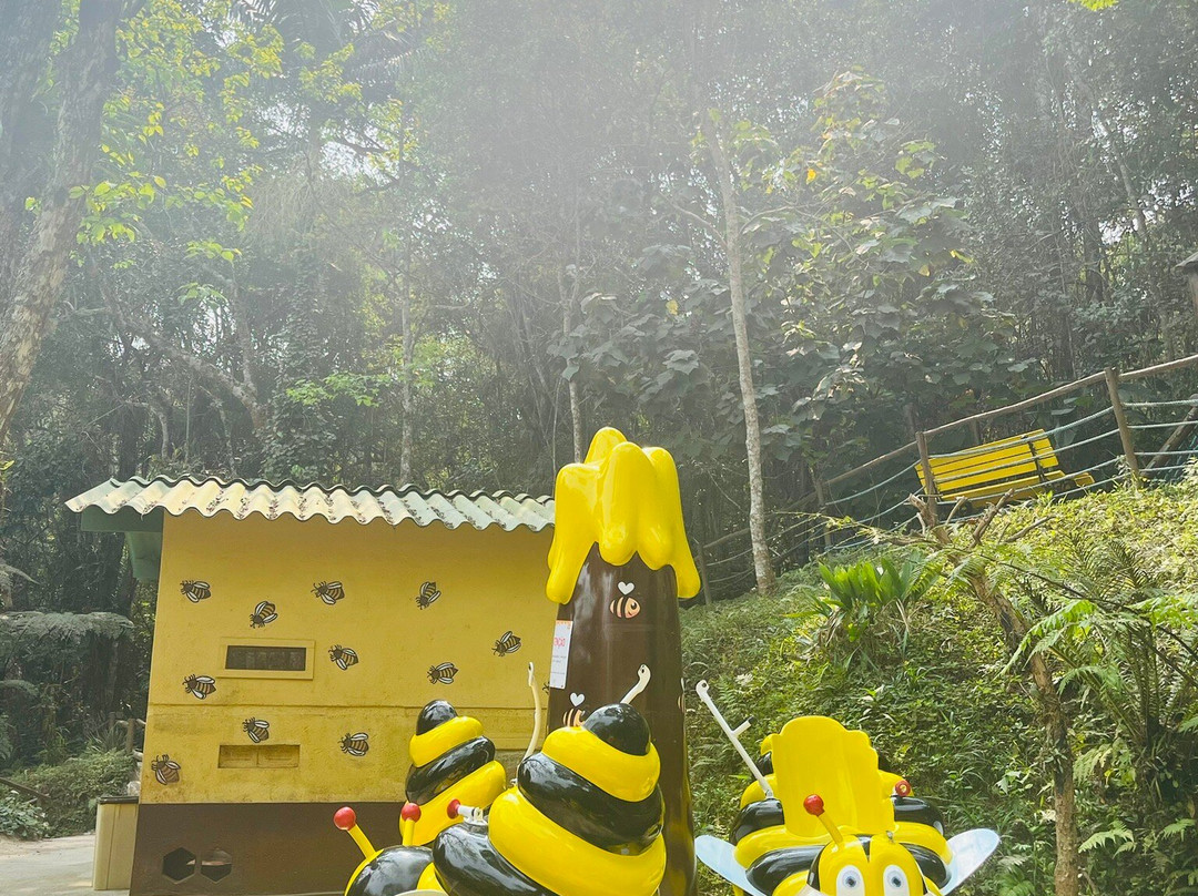 Cidade das Abelhas-Cotia必去景点