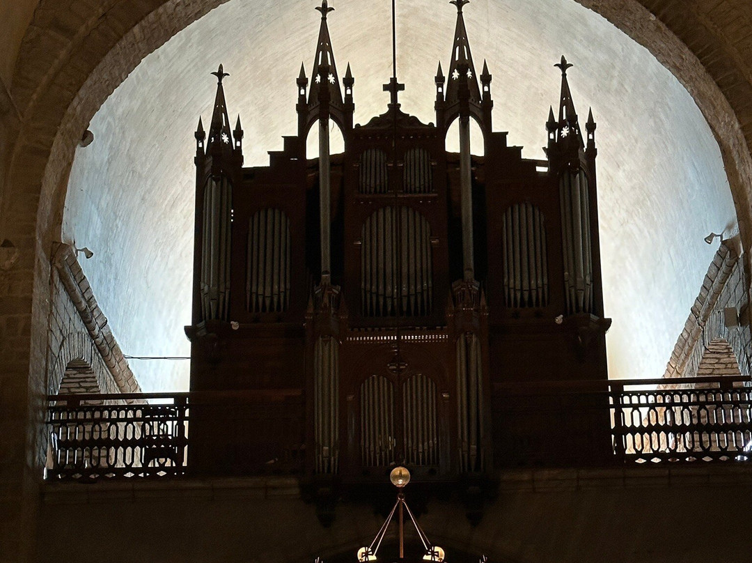 Cathédrale Sainte-Eulalie-et-Sainte-Julie d'Elne景点图片
