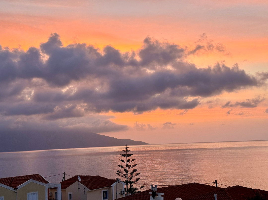 橄榄湾酒店主图