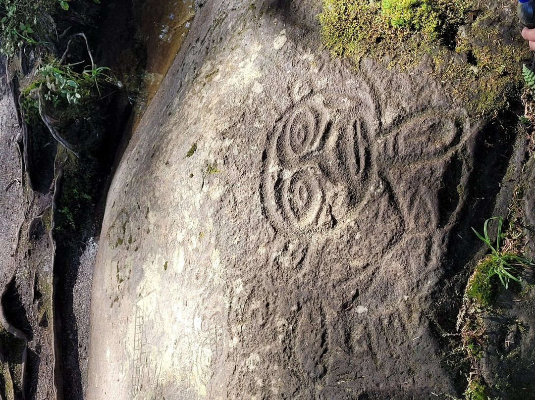 Copper Sun Gallery & Journeys-Bella Coola必去景点