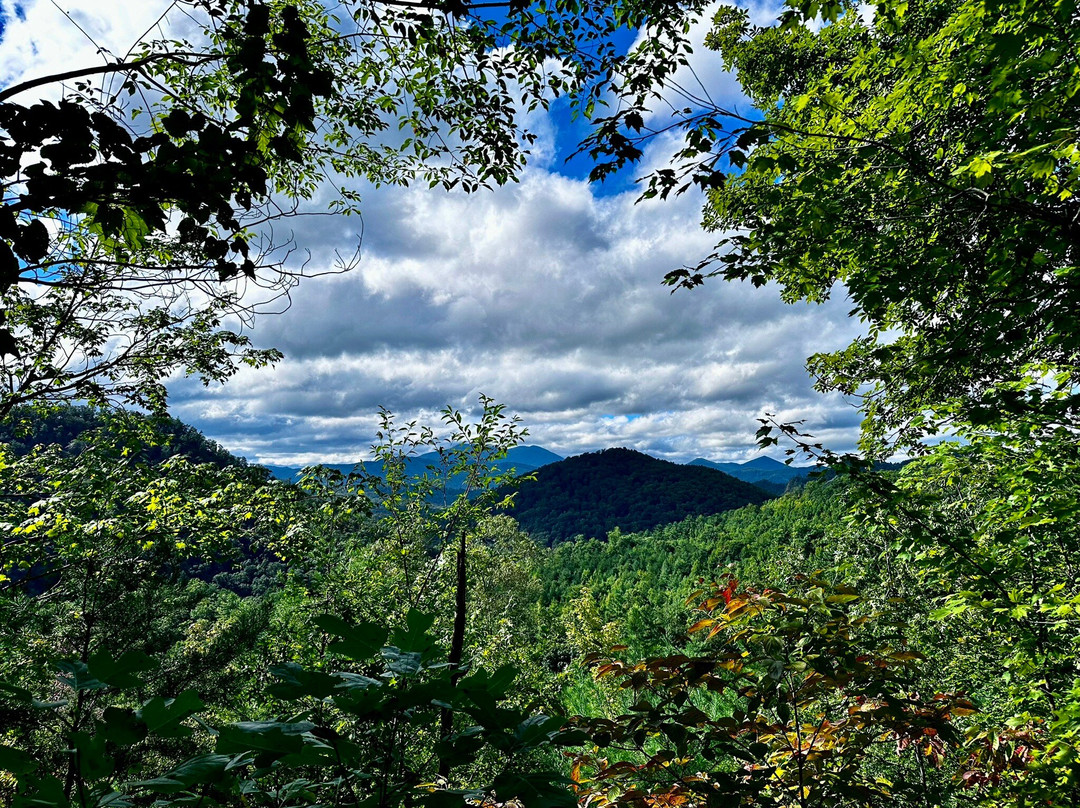 French Broad Adventures景点图片