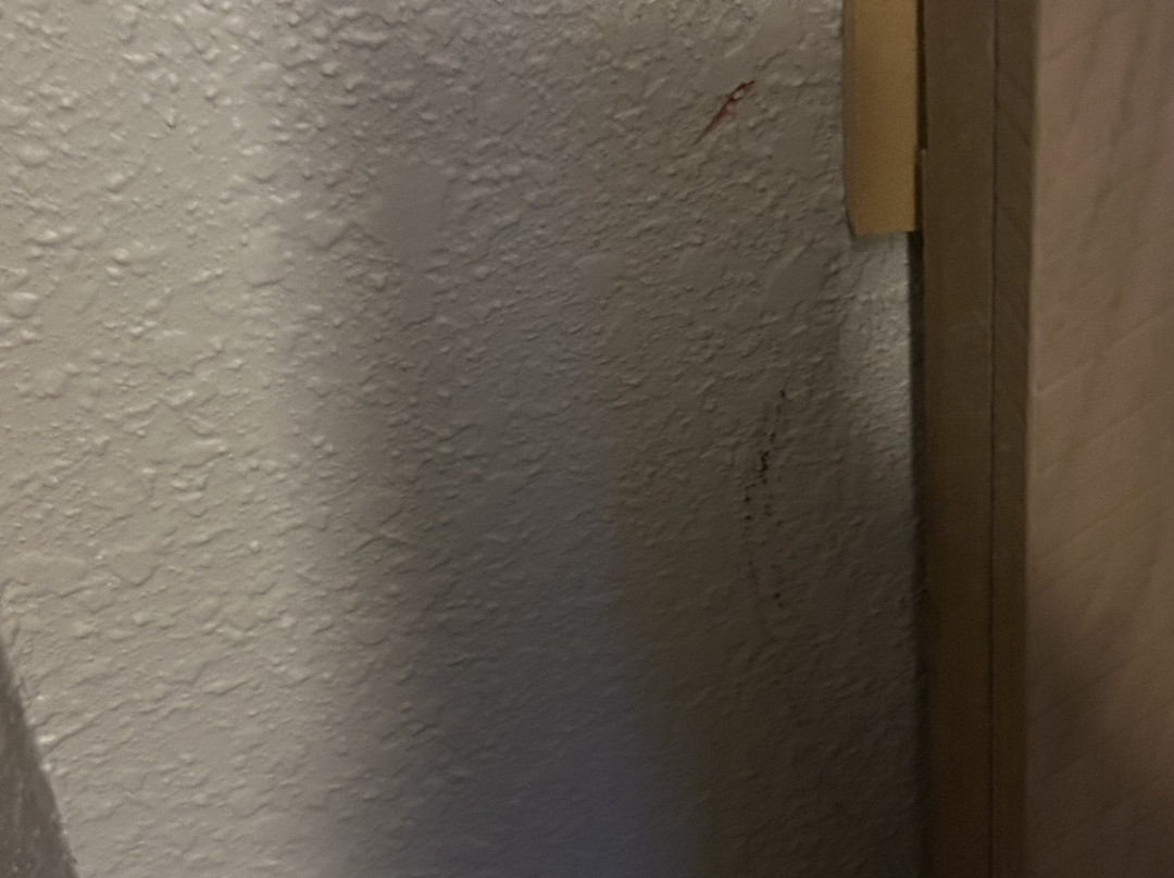 Country Inn & Suites by Radisson, Jackson, TN主图