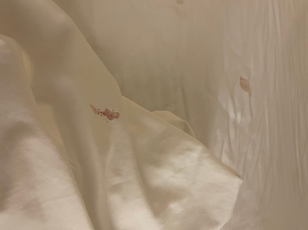 SureStay By Best Western Williams主图