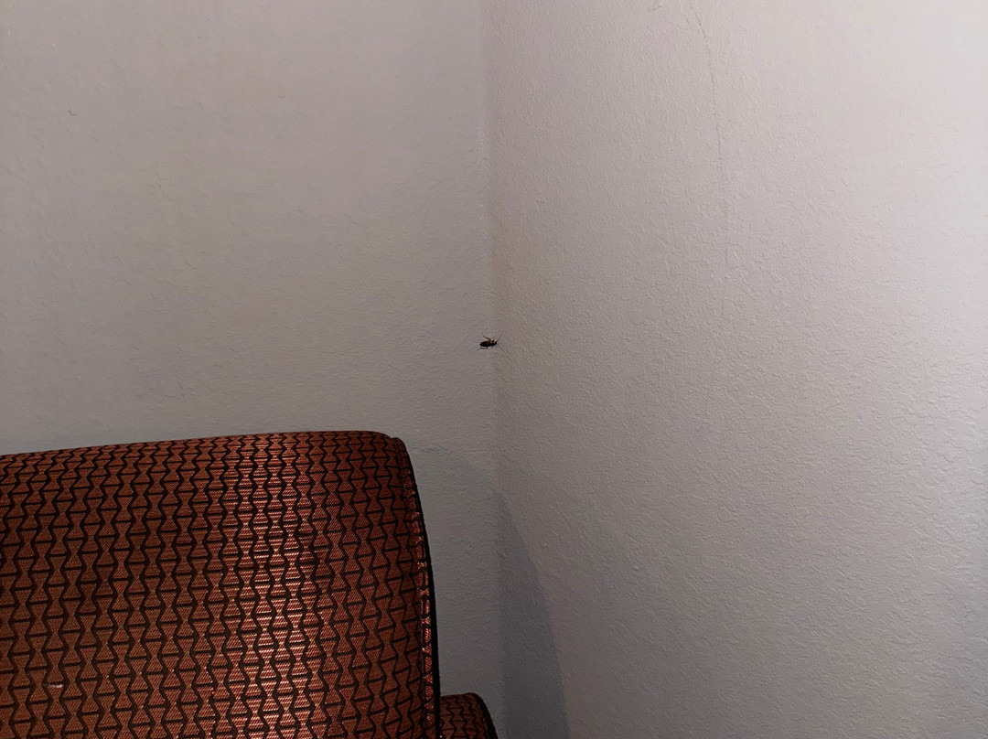 Baymont by Wyndham Columbus/Rickenbacker主图