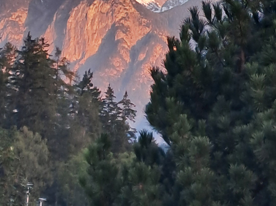 格鲁伯霍夫住宿加早餐酒店主图