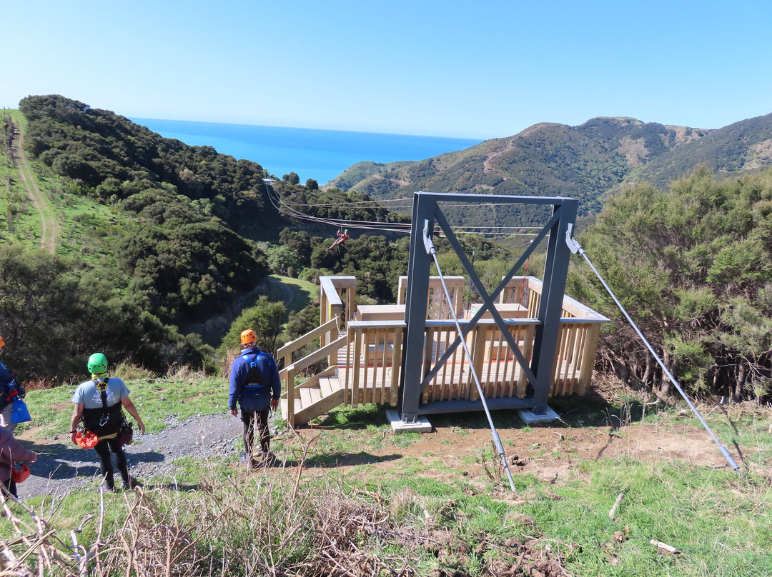 Eco Zip Line Kaikoura N.z.景点图片