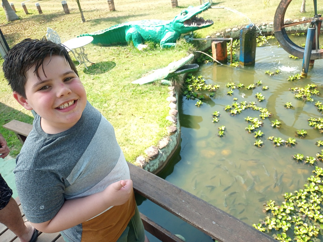 Hotel Fazenda Pe da Serra主图