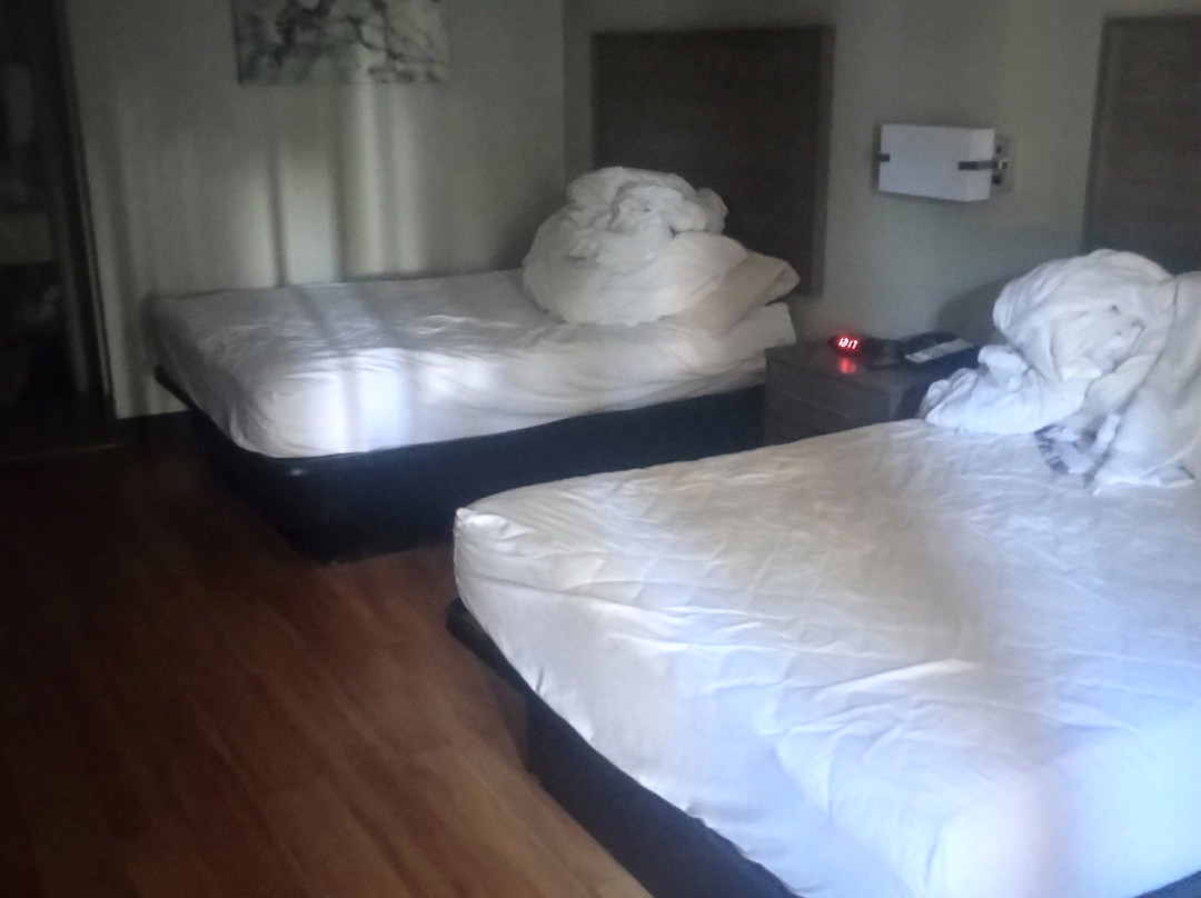 Red Roof Inn Bay Minette主图