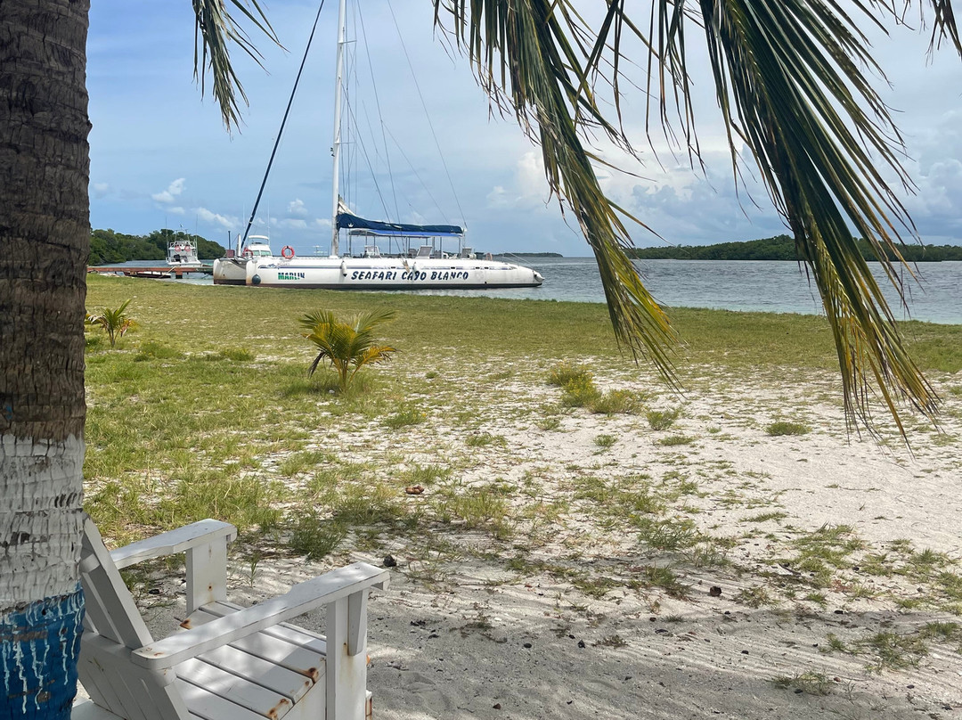 Cubatur-巴拉德罗必去景点