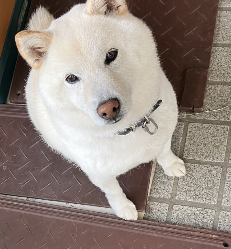 Pension Yamada主图