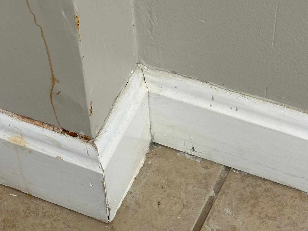 Sea Mist Resort主图