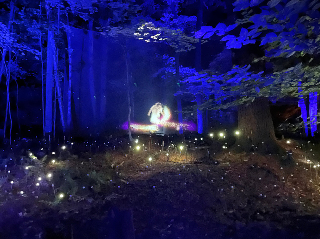 Foresta Lumina-Coaticook必去景点