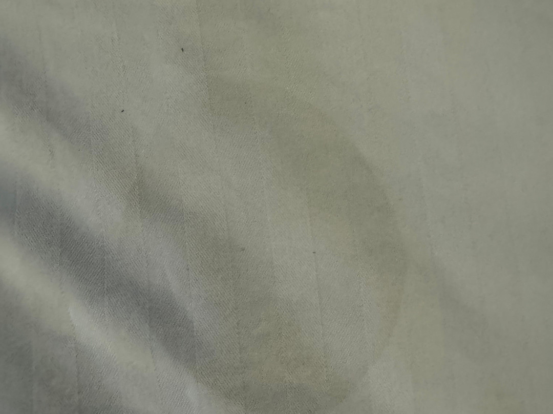 Best Western Downtown Casper Hotel主图