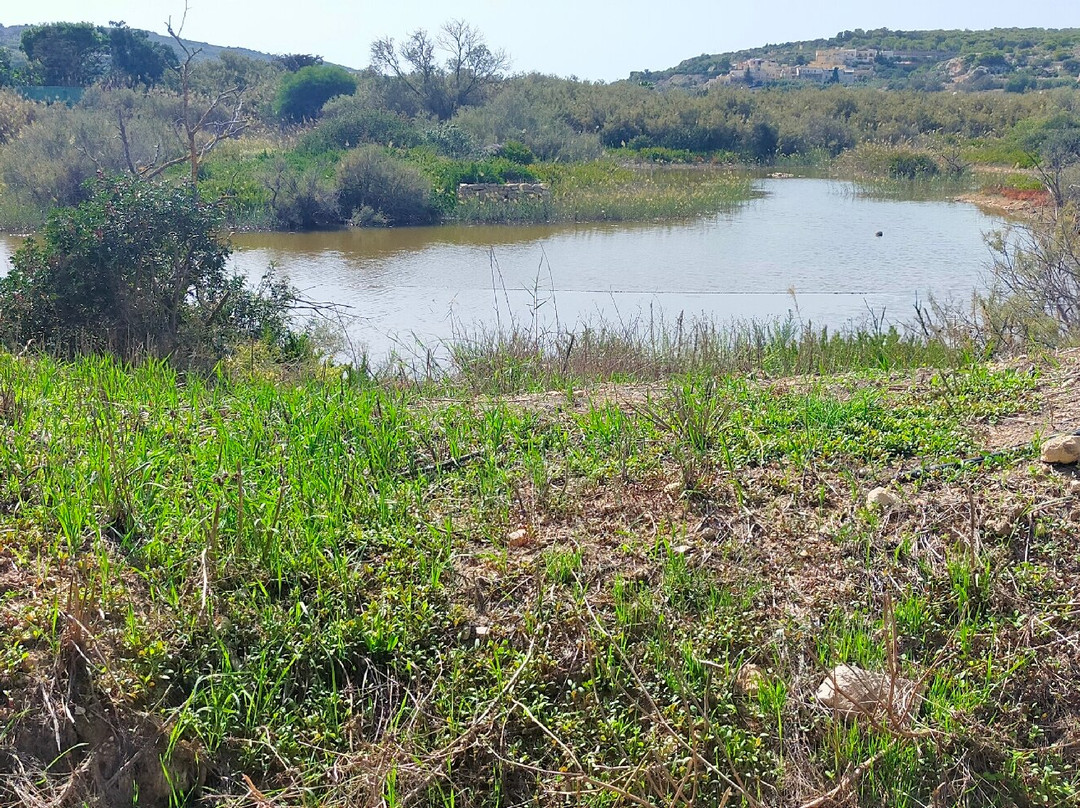 Simar Nature Reserve-Xemxija必去景点
