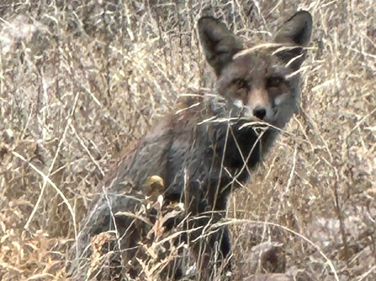 Ecoturismo Monfragüe-卡塞雷斯必去景点