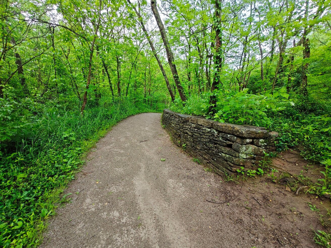 McConnell Springs-列克星敦必去景点