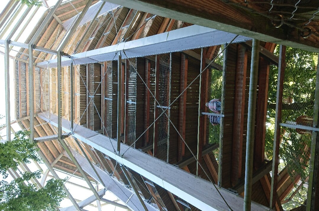 Aussichtplattform Adlerhorst - Baumwipfelpfad Rügen Naturerbezentrum Rügen景点图片