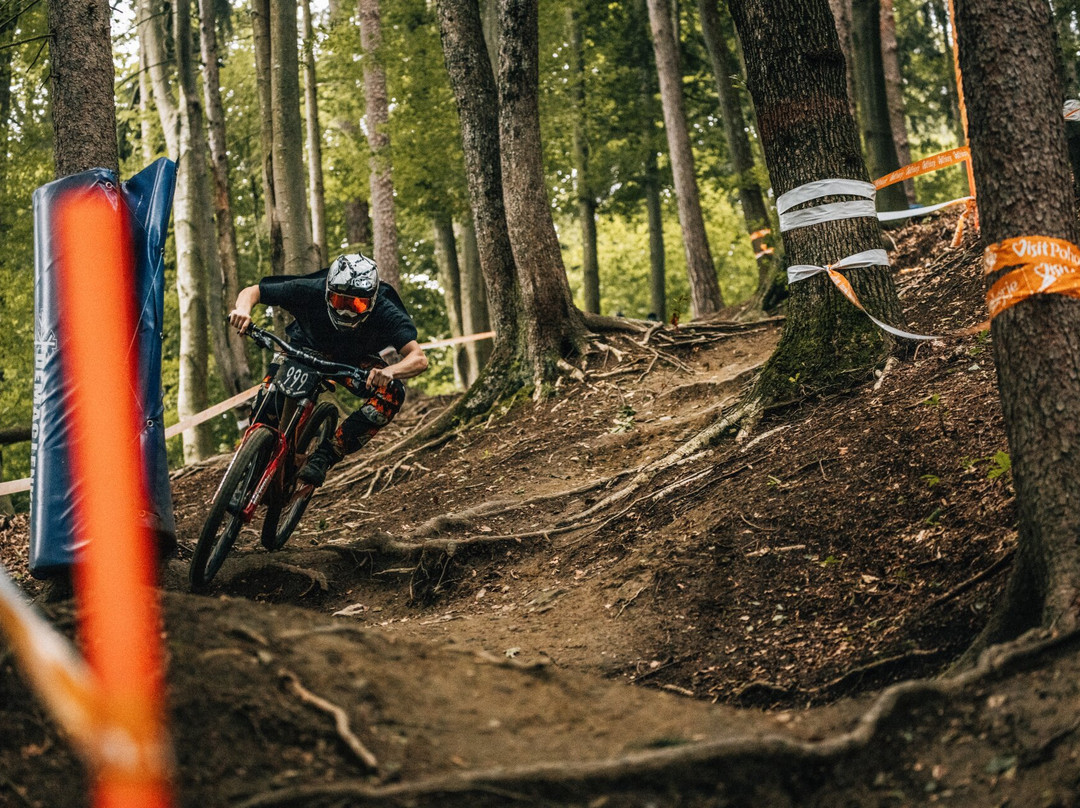 Bike Park Pohorje Maribor-马里博尔必去景点