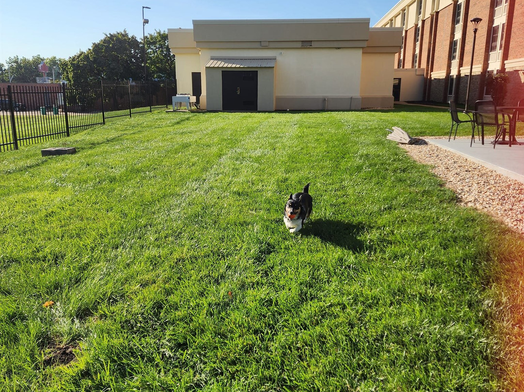 Drury Inn & Suites St. Joseph主图