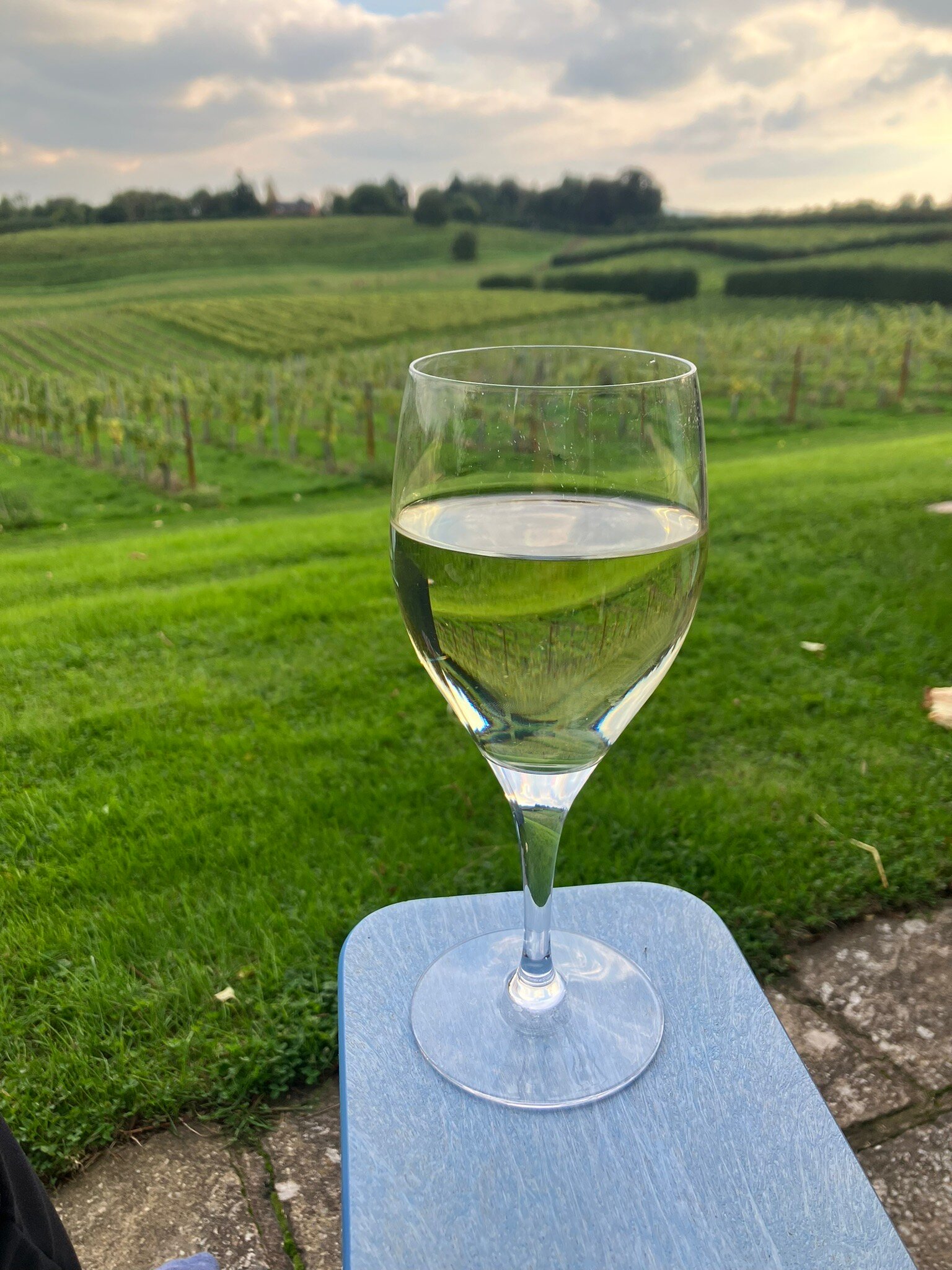 Three Choirs Vineyards-官方