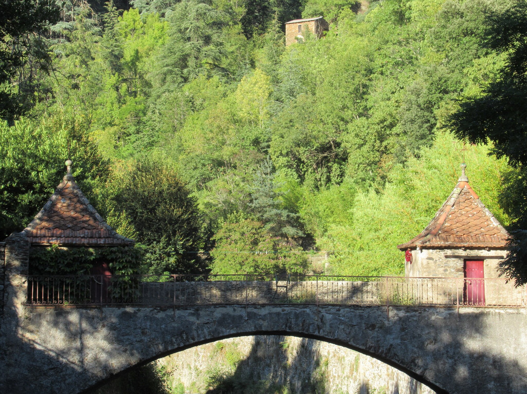 Office de Tourisme Mont Aigoual Causses Cévennes景点图片