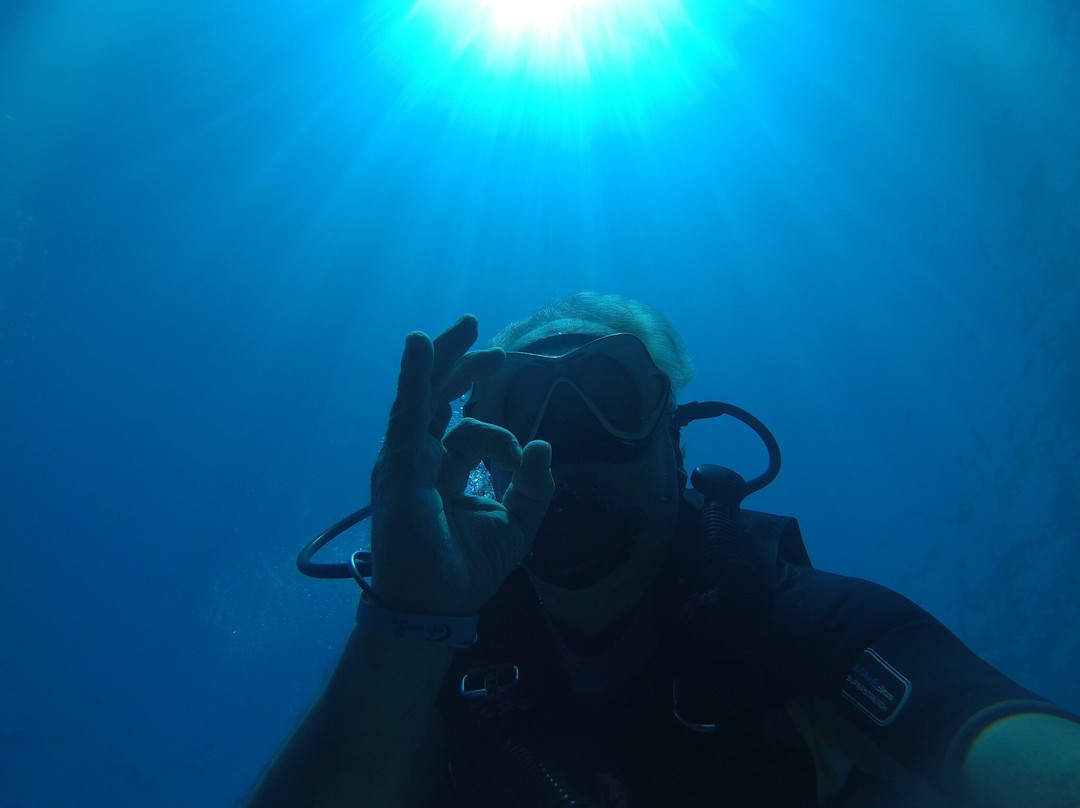 Marine Divers-帕福斯必去景点