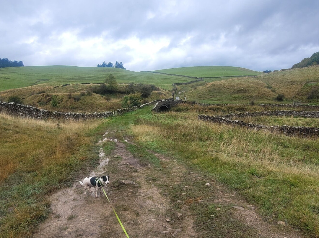 Smardale Gill Nature Reserve景点图片