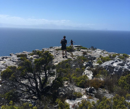 Hiking In The South-开普敦必去景点