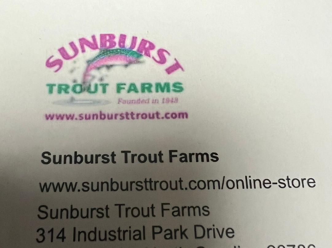 Sunburst Market-韦恩斯维尔必去景点