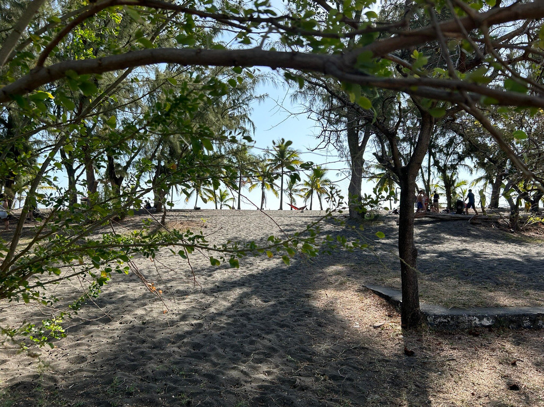 Plage De L'étang Salé景点图片