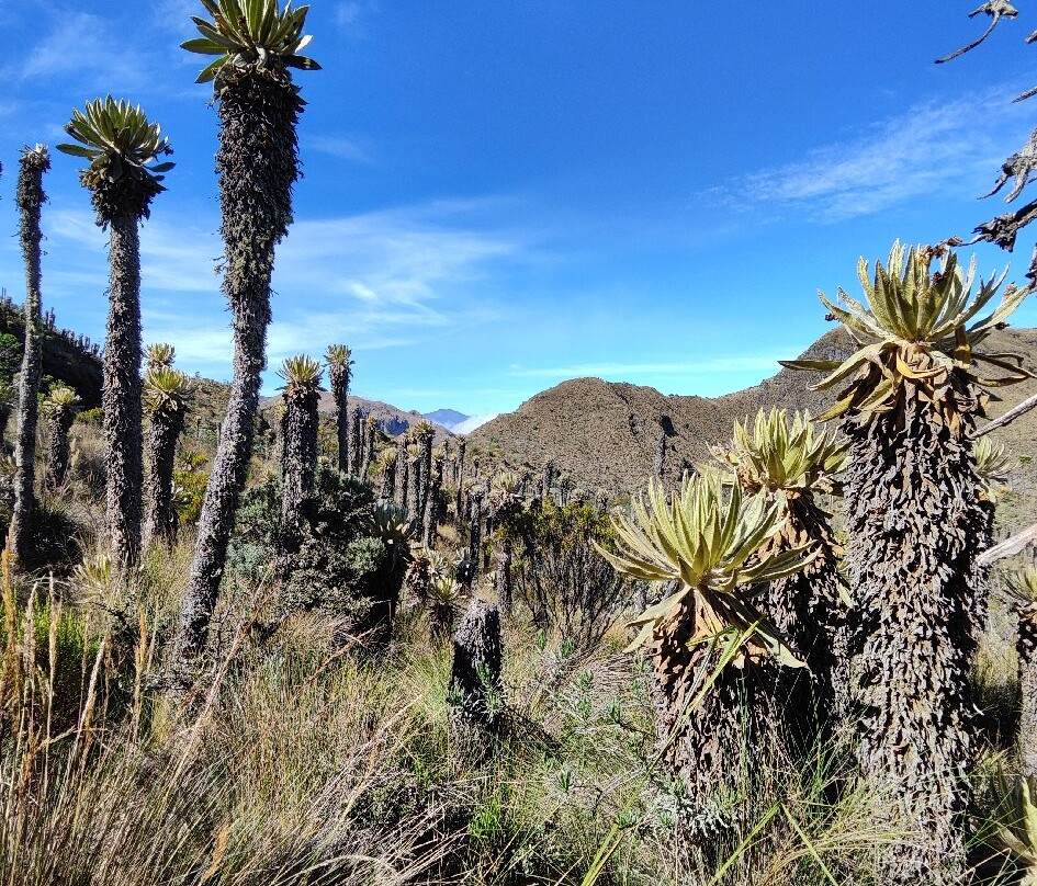 Caldas Ecotravel-Manizales必去景点