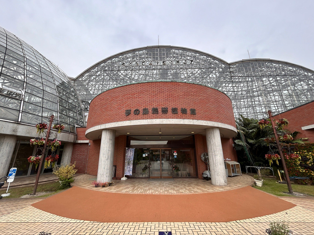 梦之岛热带植物室-江东区必去景点