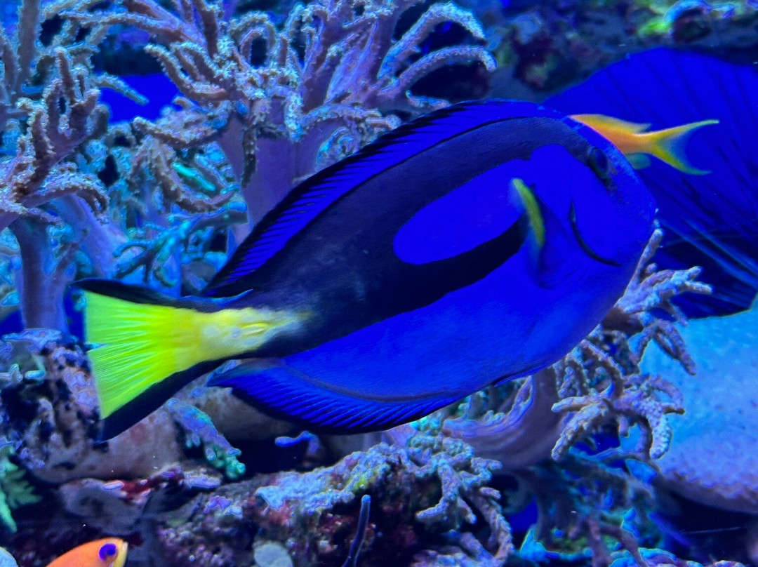 Oceanarium Międzyzdroje-缅济兹德罗耶必去景点