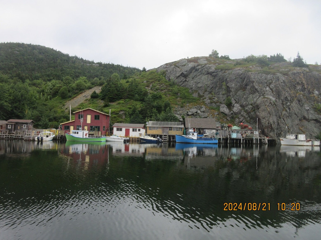 Quidi Vidi景点图片