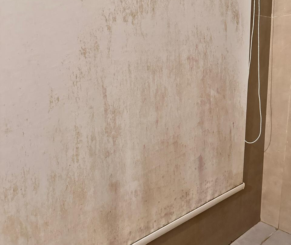 Palm Paradise Beach Resort